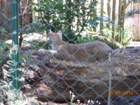 DSCN0703.JPG