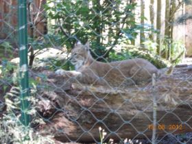 DSCN0704.JPG
