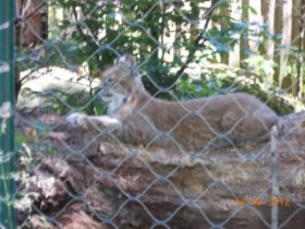 DSCN0705.JPG