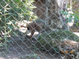 DSCN0706.JPG