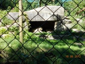 DSCN0707.JPG