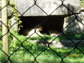 DSCN0708.JPG