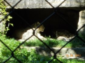 DSCN0709.JPG