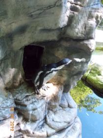 DSCN0710.JPG