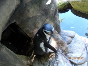 DSCN0713.JPG