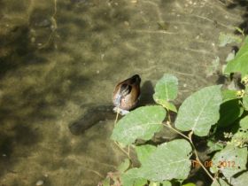 DSCN0715.JPG