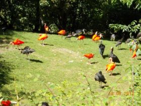 DSCN0718.JPG