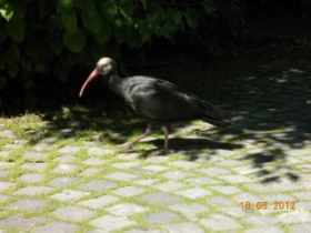 DSCN0719.JPG