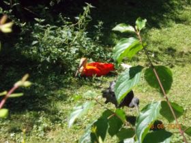 DSCN0720.JPG