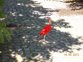 DSCN0722.JPG