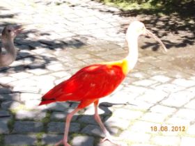 DSCN0723.JPG