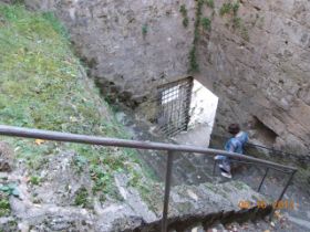 DSCN0874.JPG