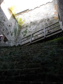 DSCN0876.JPG