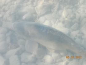 DSCN0891.JPG