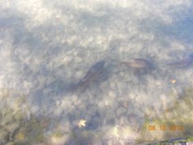 DSCN0890.JPG