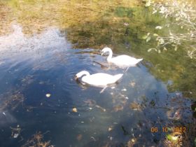 DSCN0909.JPG