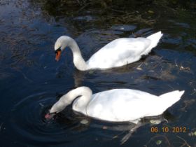 DSCN0910.JPG