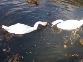 DSCN0913.JPG
