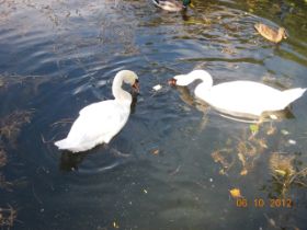DSCN0914.JPG