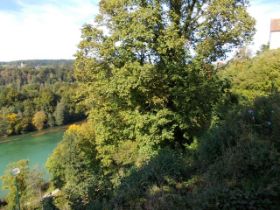 DSCN0004.JPG