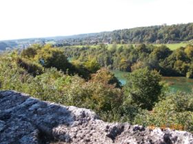 DSCN0801.JPG