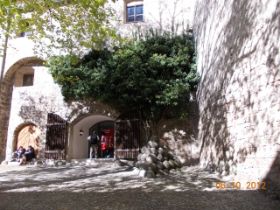 DSCN0826.JPG
