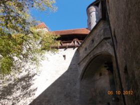 DSCN0833.JPG
