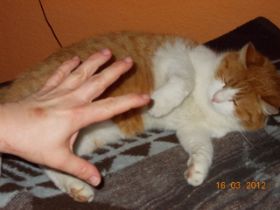 DSCN0305.JPG