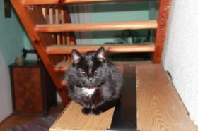 IMG_0007.JPG