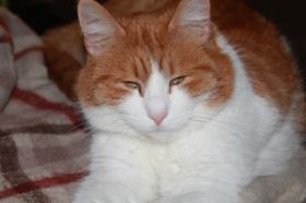 IMG_0063.JPG