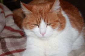 IMG_0064.JPG