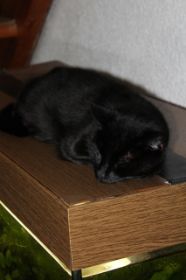 IMG_0091.JPG
