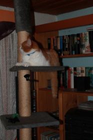 IMG_0104.JPG