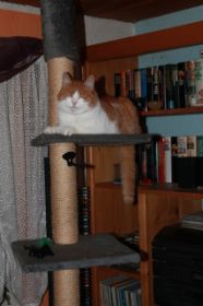 IMG_0106.JPG